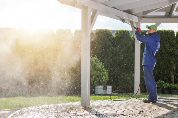 Best Solar Panel Cleaning  in Salinas, CA